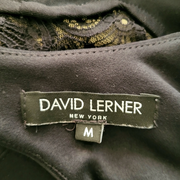 David Lerner Skater Dress - Picture 4 of 4